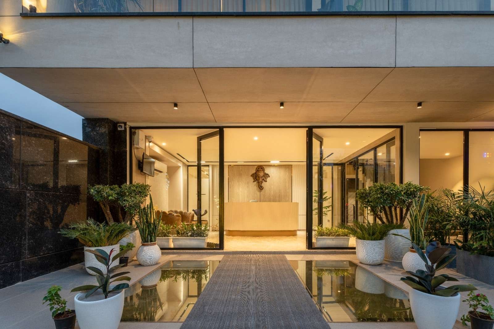 International Dental Patients 10